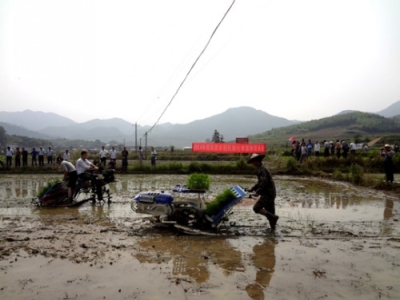 我县水稻插秧机助力粮食生产