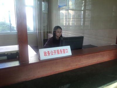 水南镇建设专区推动政务公开便利化