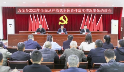 县领导检查全面从严治党主体责任落实情况