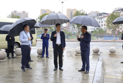 县领导开展维护社会安全稳定专项检查