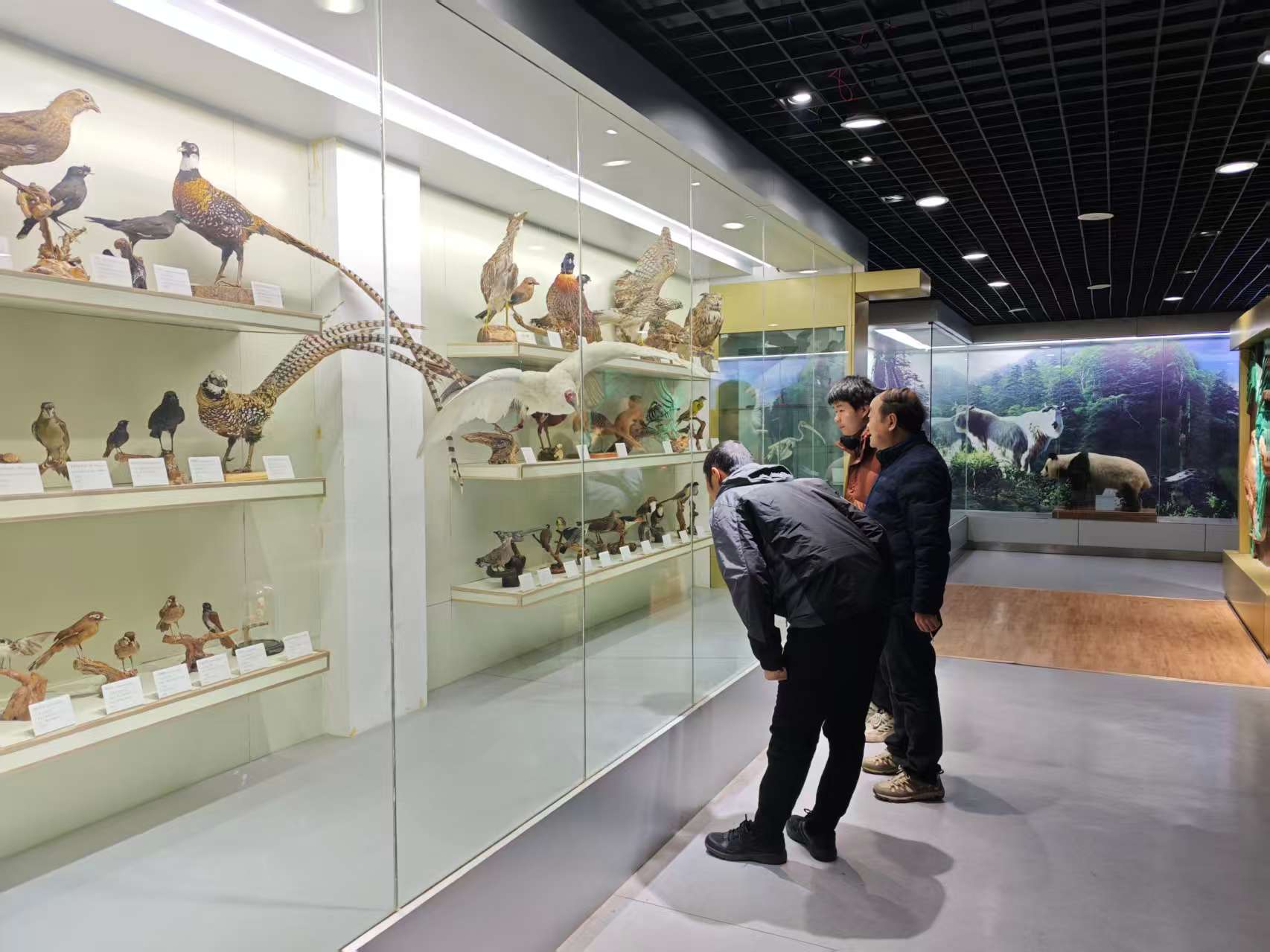 ff065244987eaf0aeca8f4364e4864c