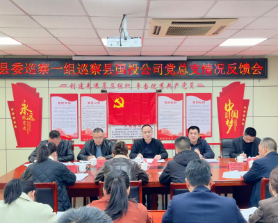 县委巡察一组巡察县国投公司党总支情况反馈会召开
