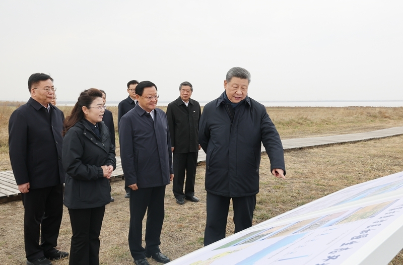6fd22d88-8f37-4615-956a-633d4eae42aa.jpg